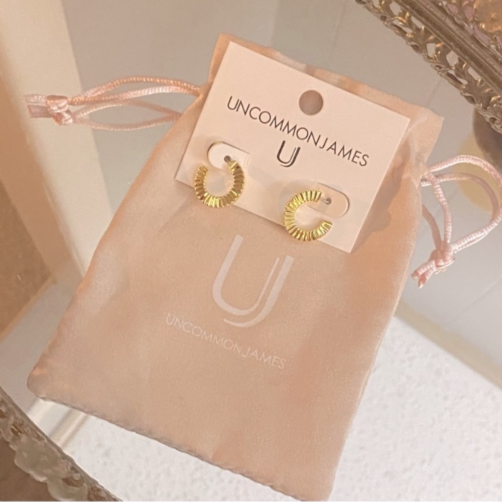 Uncommon James Gold Small Hoops!